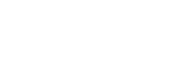 Informe Bienal